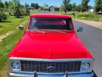 1969 Chevrolet C10 for sale in Michigan (ID-102916)