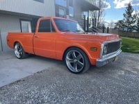 1969 Chevrolet C10 for sale in Michigan (ID-117601)