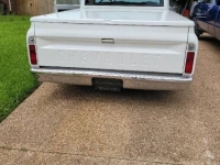 1969 Chevrolet C10 for sale in Michigan (ID-126641)