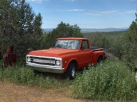 1969 Chevrolet C10 for sale in Michigan (ID-131169)