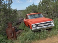 1969 Chevrolet C10 for sale in Michigan (ID-131169)