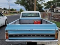 1969 Chevrolet C10 for sale in Michigan (ID-137759)