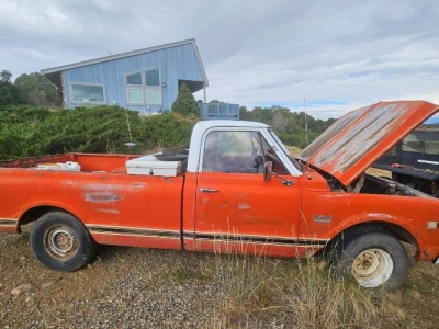 1969 Chevrolet C10 for sale