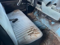 1969 Chevrolet C10 for sale in Michigan (ID-162615)