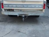 1969 Chevrolet C20 for sale in Michigan (ID-117325)