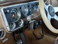 1969 Chevrolet C20 for sale in Michigan (ID-117325)