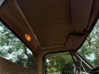 1969 Chevrolet C20 for sale in Indiana, Abilene (ID-144009)