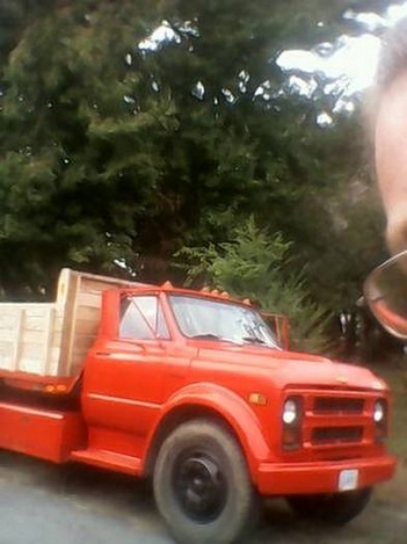 1969 Chevrolet C50 for sale (ID-99777)