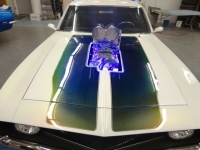 1969 Chevrolet Camaro for sale in Michigan (ID-100833)