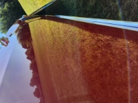1969 Chevrolet Camaro for sale in Michigan (ID-134839)
