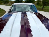 1969 Chevrolet Camaro for sale in Michigan (ID-136809)