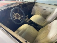 1969 Chevrolet Camaro for sale in Michigan (ID-138955)