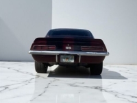1969 Chevrolet Camaro for sale in Michigan (ID-144194)