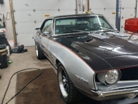 1969 Chevrolet Camaro for sale (ID-161534)