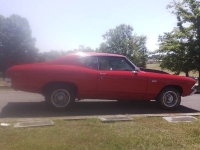 1969 Chevrolet Chevelle for sale in Michigan (ID-96617)