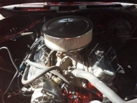 1969 Chevrolet Chevelle for sale in Michigan (ID-96617)
