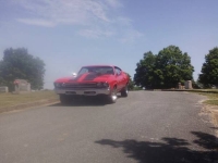 1969 Chevrolet Chevelle for sale in Michigan (ID-96617)