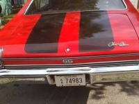 1969 Chevrolet Chevelle for sale in Michigan (ID-96617)