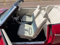 1969 Chevrolet Chevelle for sale in Michigan (ID-101810)