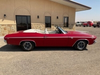 1969 Chevrolet Chevelle for sale in Michigan (ID-101810)