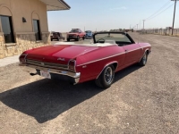 1969 Chevrolet Chevelle for sale in Michigan (ID-101810)