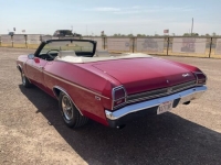 1969 Chevrolet Chevelle for sale in Michigan (ID-101810)