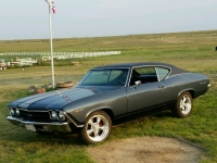 1969 Chevrolet Chevelle for sale (ID-107951)