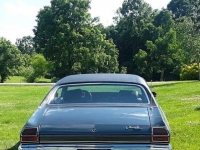 1969 Chevrolet Chevelle for sale (ID-107951)