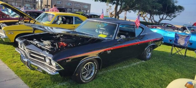 1969 Chevrolet Chevelle for sale in Michigan (ID-109471)