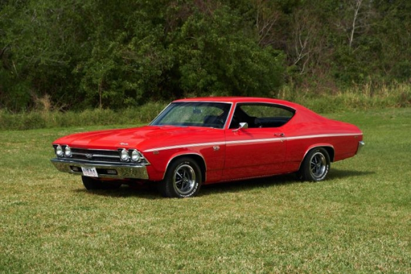 1969 Chevrolet Chevelle for sale in Michigan (ID-113263)