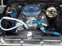 1969 Chevrolet Chevelle SS for sale in Michigan (ID-113486)