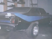 1969 Chevrolet Chevelle SS for sale in Michigan (ID-113486)