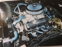 1969 Chevrolet Chevelle SS for sale in Michigan (ID-113486)