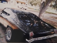 1969 Chevrolet Chevelle SS for sale in Michigan (ID-113486)