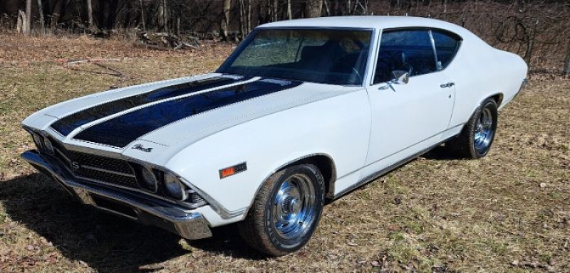 1969 Chevrolet Chevelle for sale in Michigan (ID-114143)