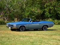 1969 Chevrolet Chevelle SS for sale (ID-115392)