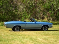 1969 Chevrolet Chevelle SS for sale (ID-115392)