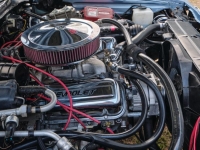1969 Chevrolet Chevelle SS for sale (ID-115392)