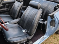 1969 Chevrolet Chevelle SS for sale (ID-115392)