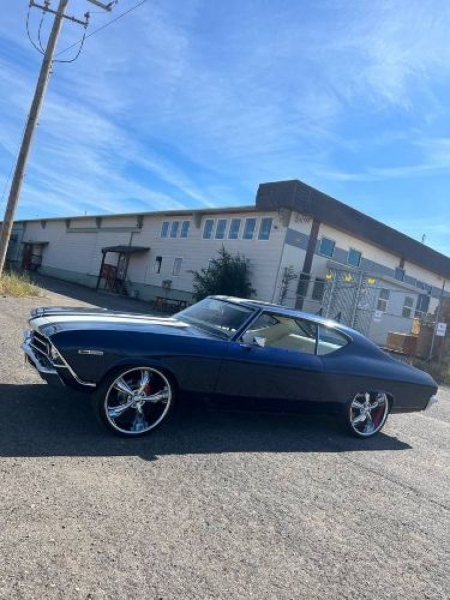 1969 Chevrolet Chevelle for sale in Michigan (ID-115765) 1969 Chevrolet Chevelle for sale in Michigan (ID-115765)