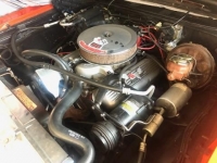 1969 Chevrolet Chevelle for sale in Michigan (ID-117000)