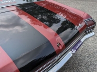 1969 Chevrolet Chevelle for sale in Riverhead, New York (ID-117517)