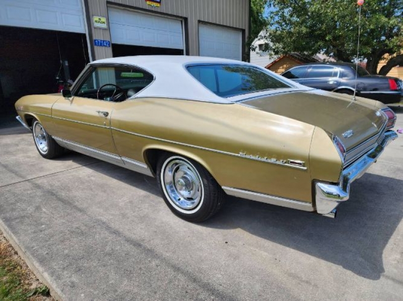 1969 Chevrolet Chevelle for sale in Michigan (ID-118527)