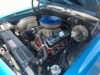 1969 Chevrolet Chevelle for sale in Addison, Illinois (ID-119192)
