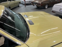 1969 Chevrolet Chevelle SS for sale in Addison, Illinois (ID-119426)