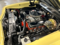1969 Chevrolet Chevelle SS for sale in Addison, Illinois (ID-119426)
