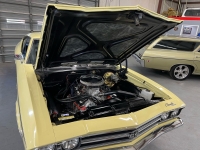 1969 Chevrolet Chevelle SS for sale in Addison, Illinois (ID-119426)