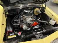 1969 Chevrolet Chevelle SS for sale in Addison, Illinois (ID-119426)