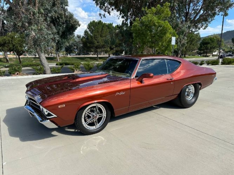 1969 Chevrolet Chevelle for sale in Michigan (ID-119687)