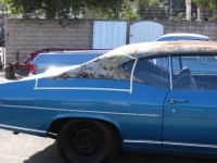 1969 Chevrolet Chevelle for sale in Michigan (ID-119975)